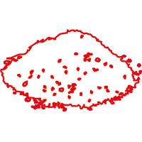 original ägyptischer Schwarzkümmel